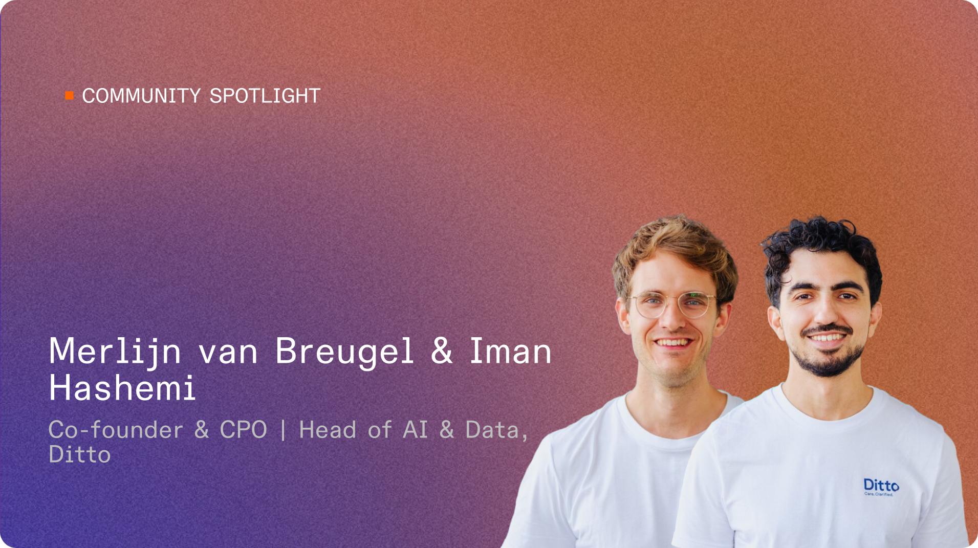 Merlijn van Breugel & Iman Hashemi, Ditto